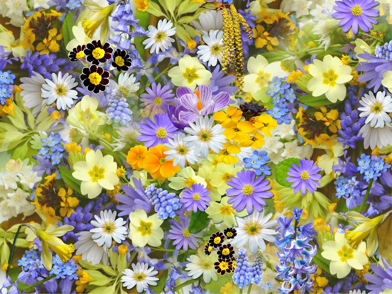 Image - spring flowers flowers collage