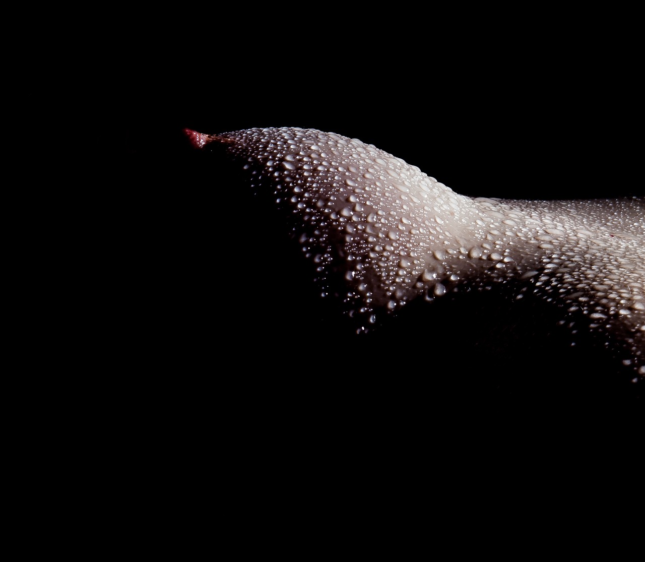 Image - breast water oil light female
