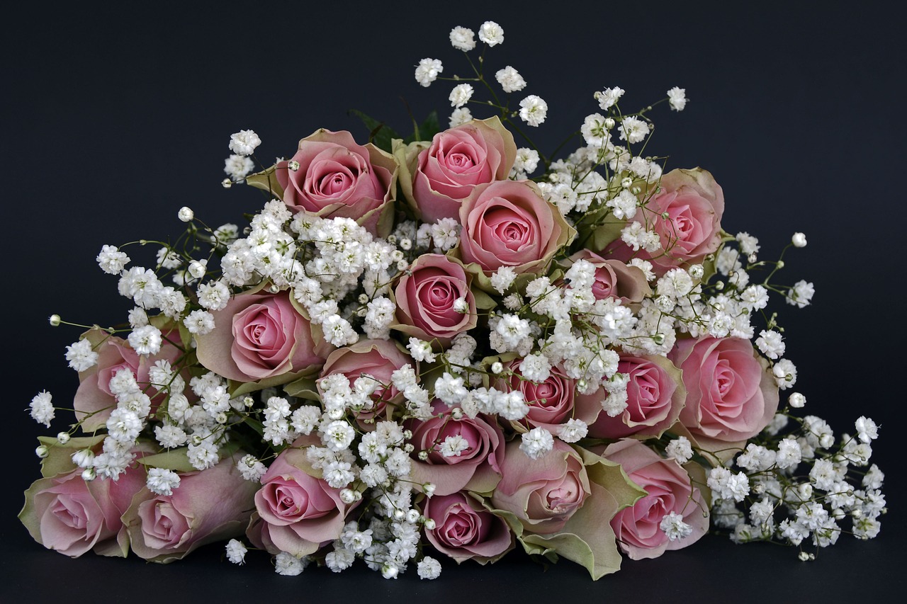 Image - roses rose flower flowers pink