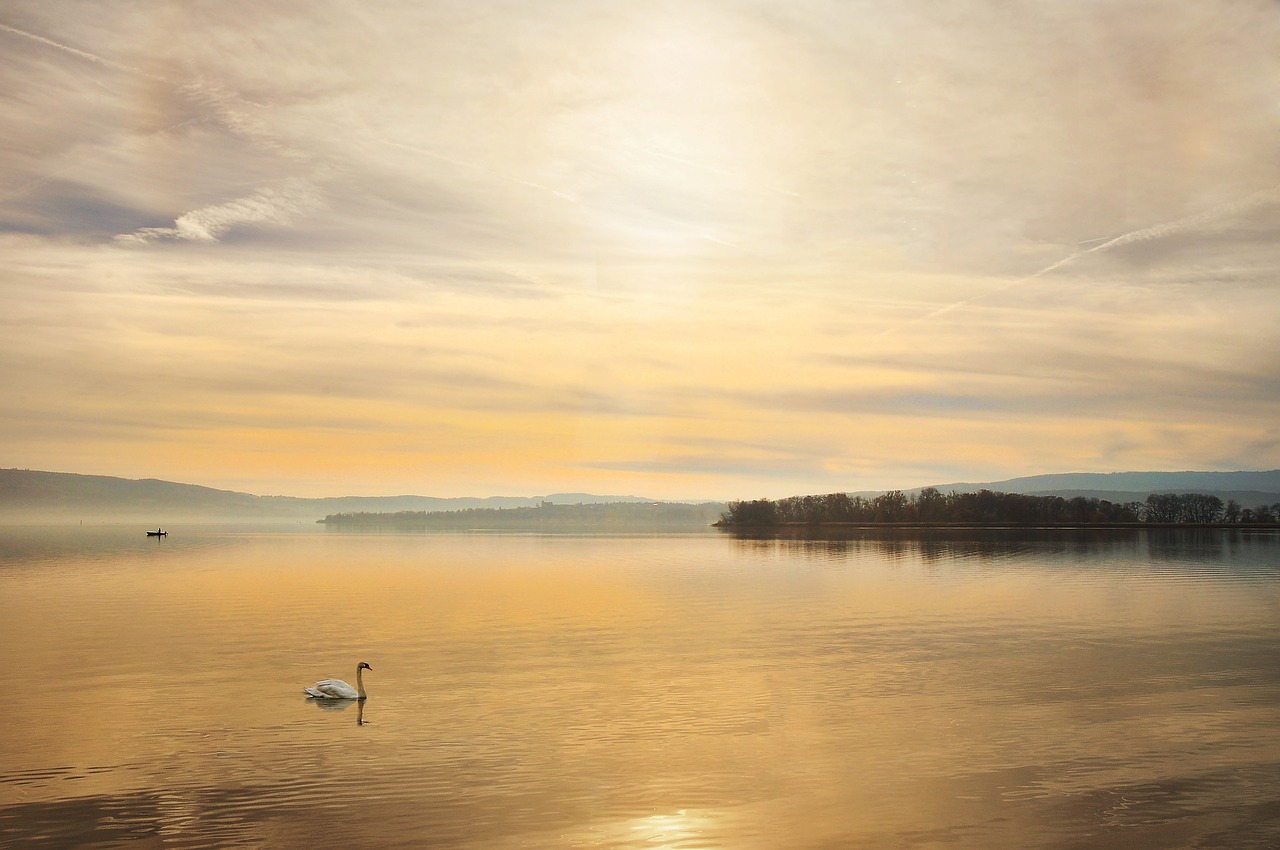 Image - swan lake constance lake sunset
