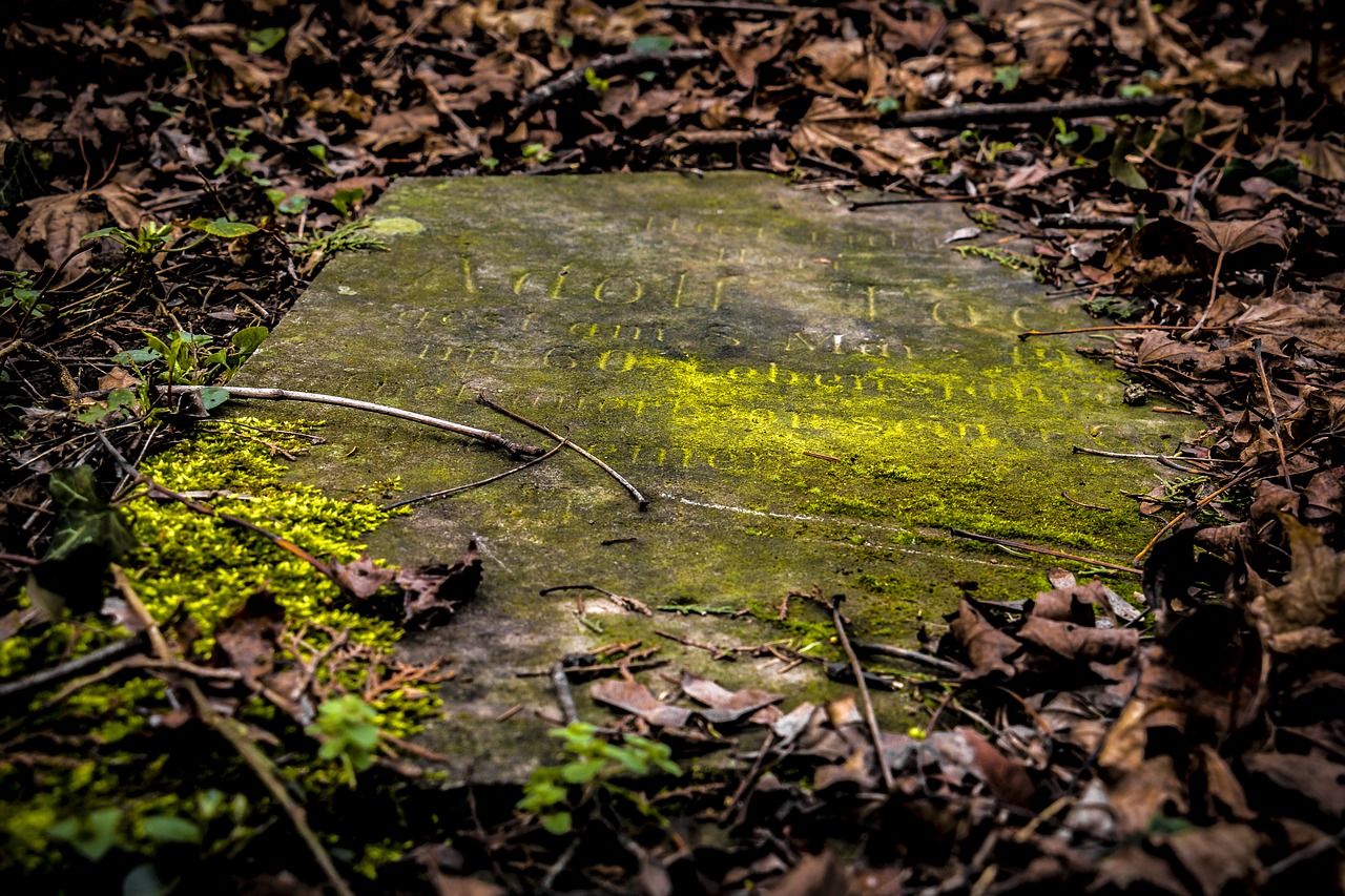 Image - tombstone old old cemetery cemetery