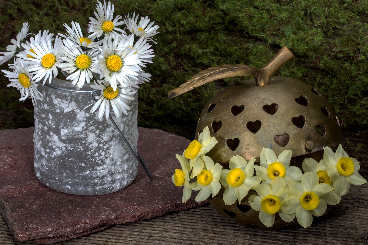 Image - still life flowers daisy stones