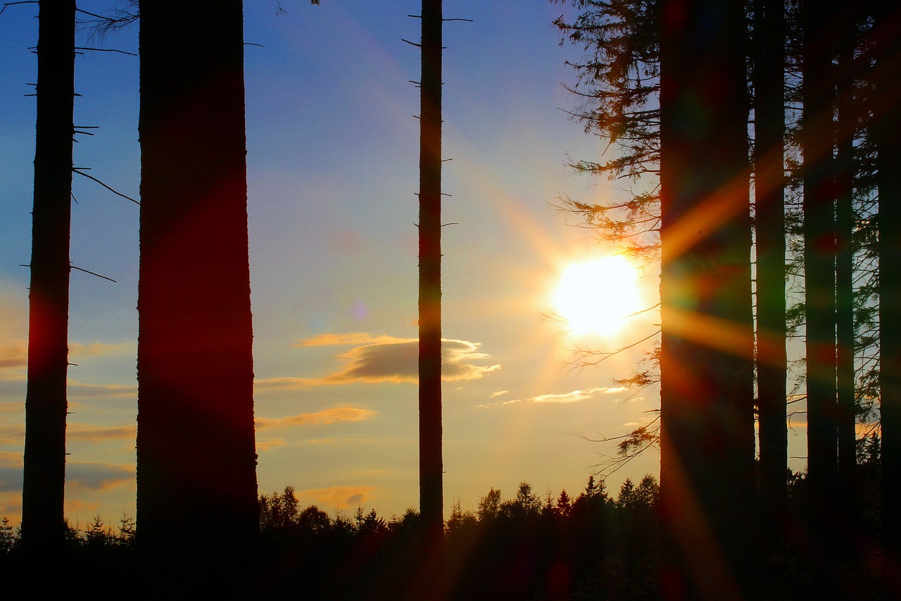 Image - evening sun sun sunset mood