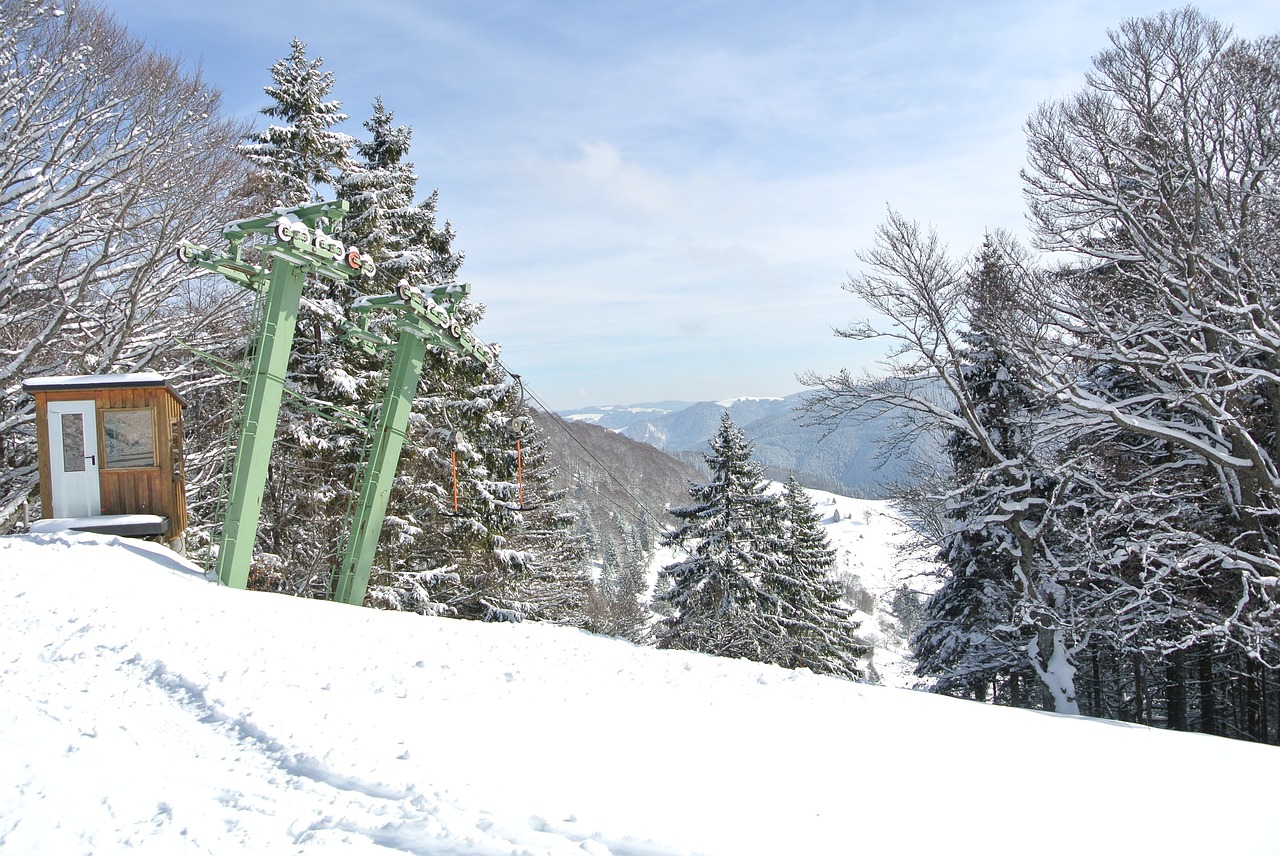Image - schauinsland snow ski lift forest