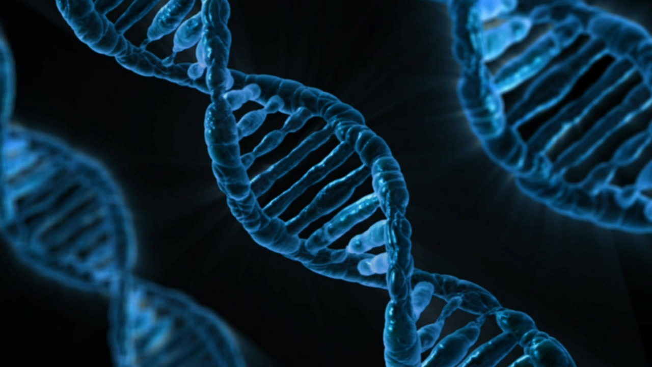Image - dna biology medicine gene