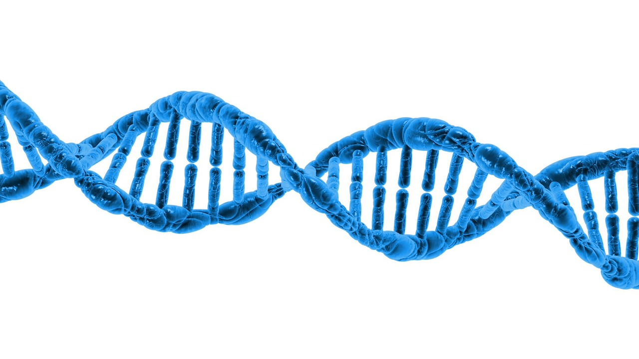 Image - dna biology science helix protein