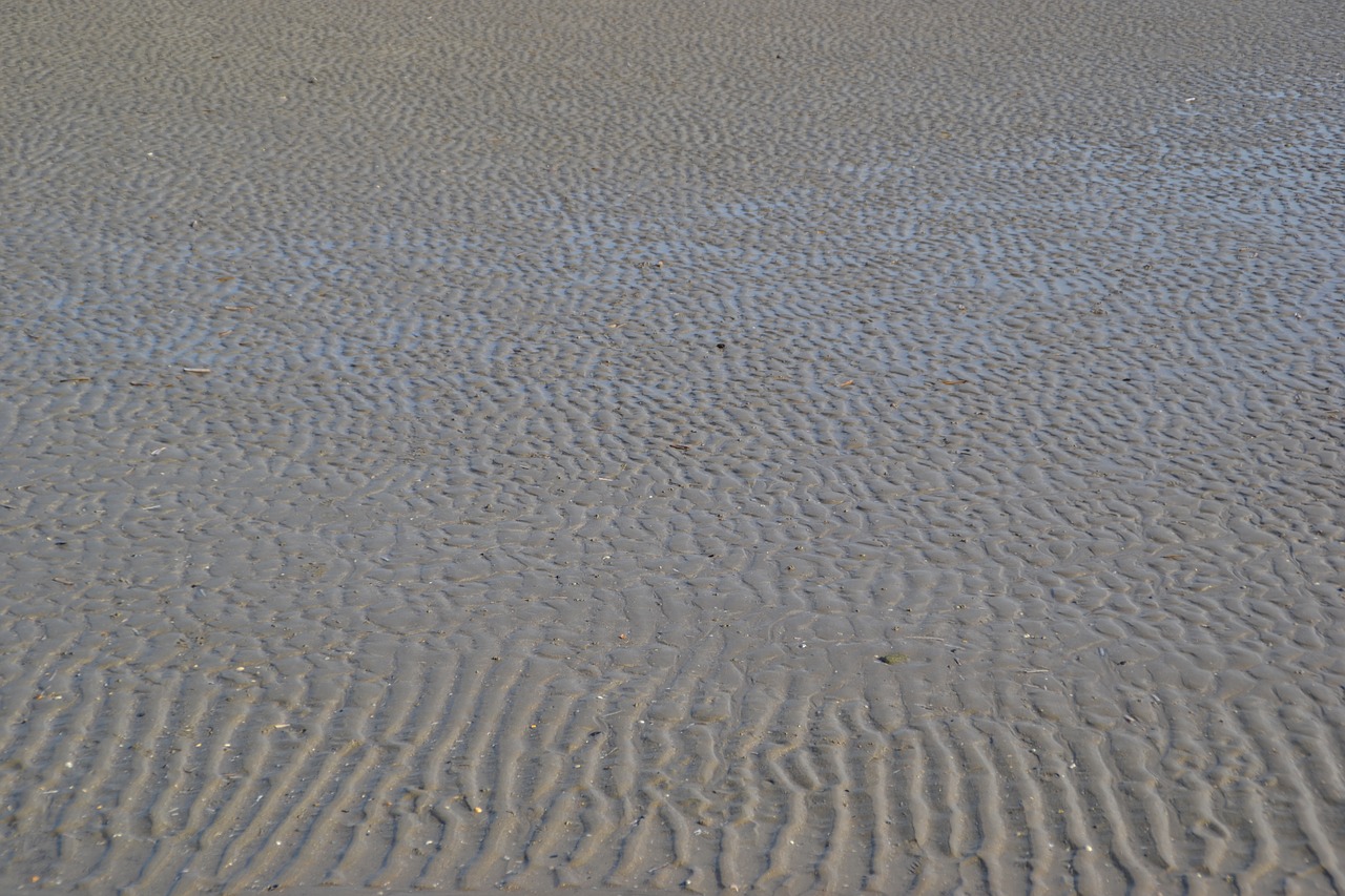 Image - sand ripple sea soil sandy beach