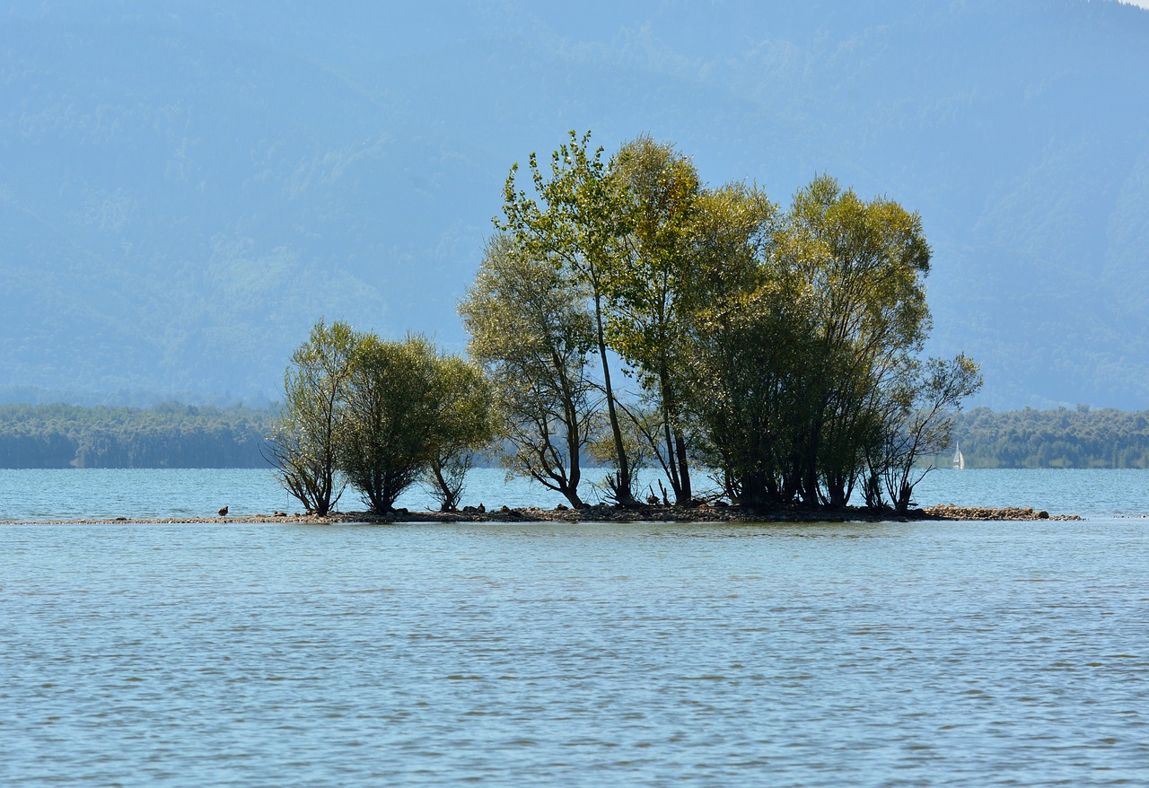 Image - island bushes grove of trees water
