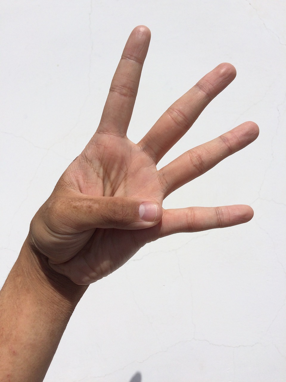 Image - palm hand finger nail young