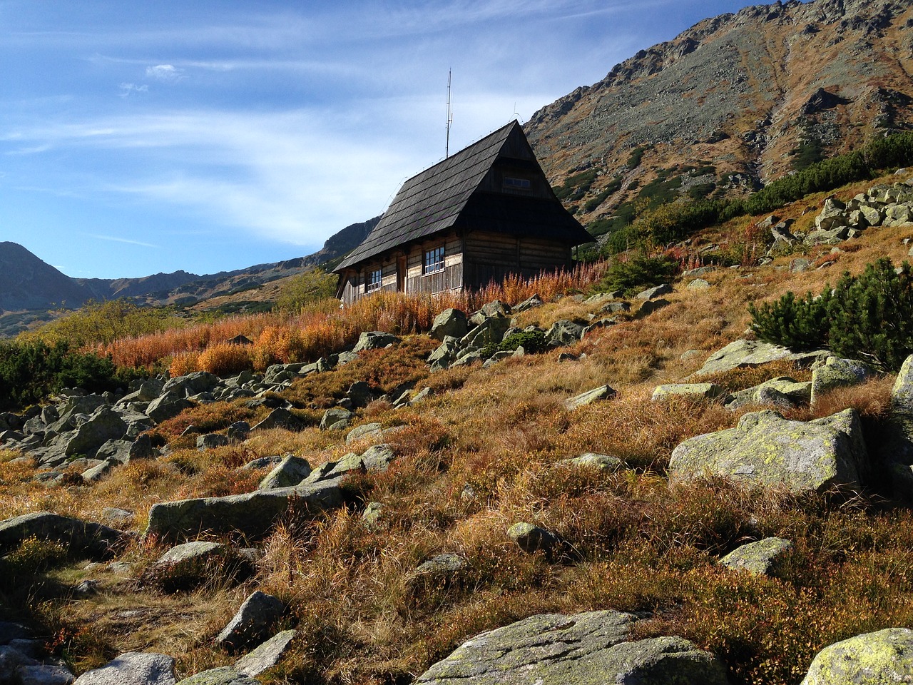 Image - the national park poland autumn
