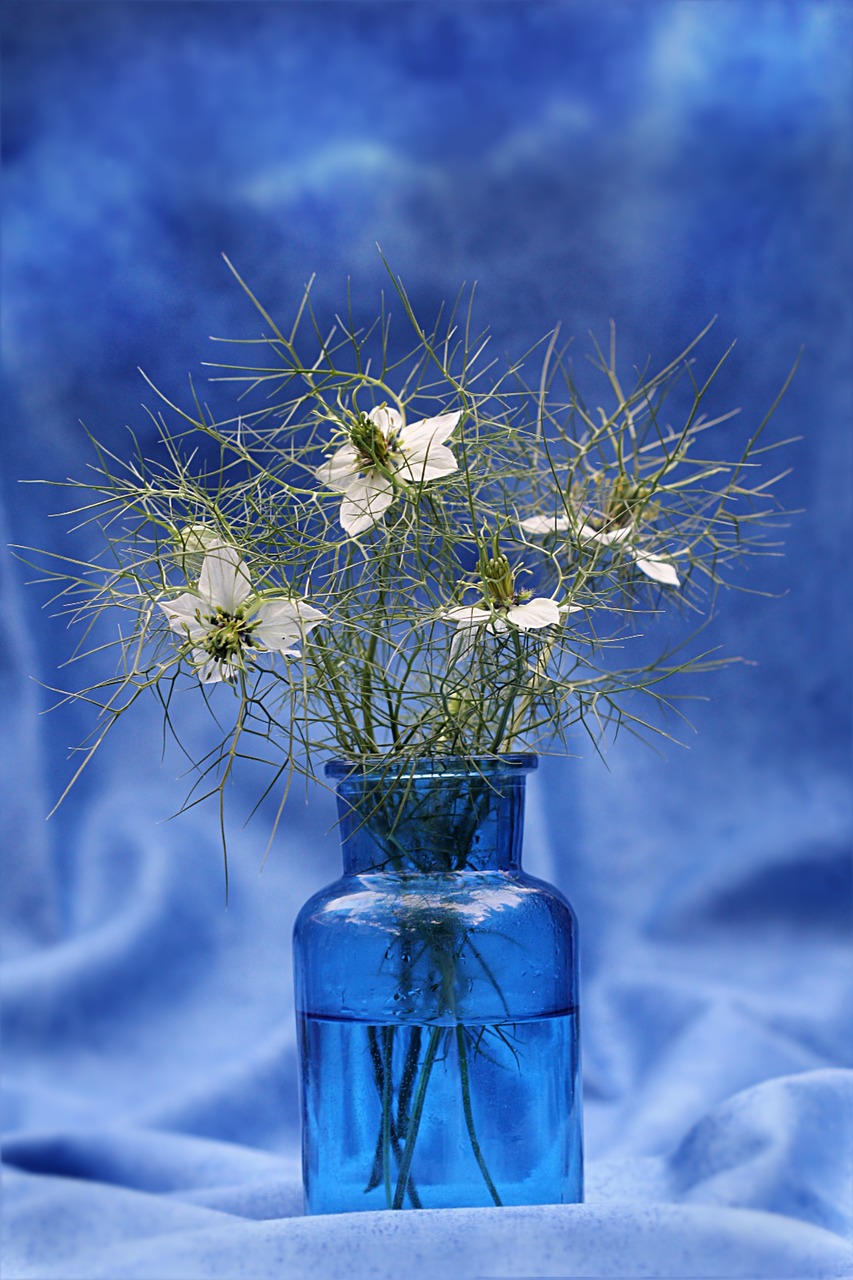 Image - still life vase blue flowers white