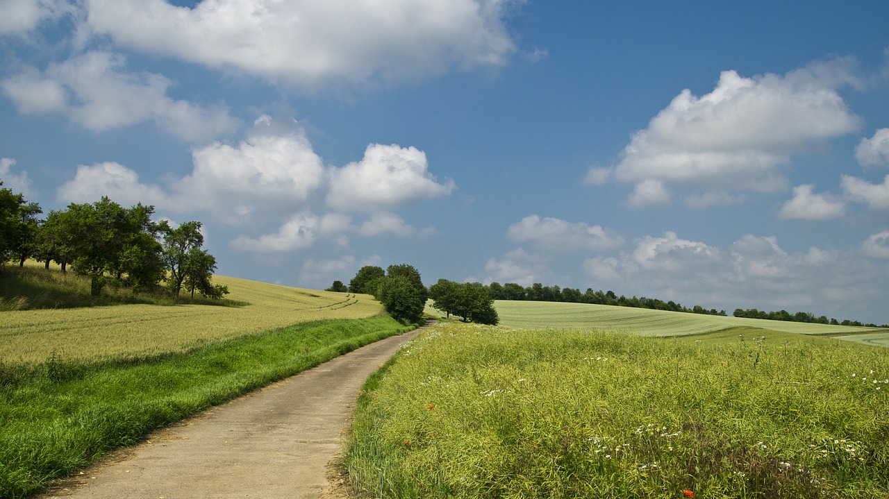 Image - field away summer sky clouds lane