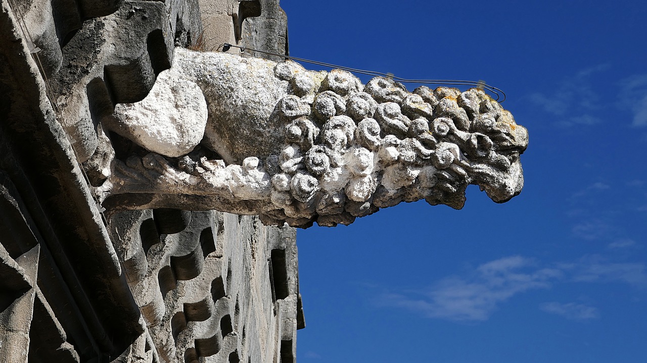 Image - gargoyle musée réattu arles france