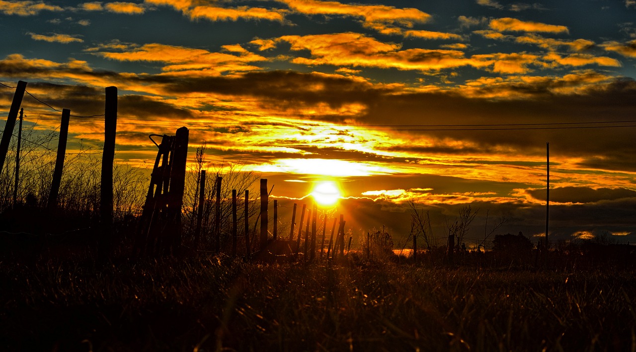 Image - gate sunset sun landscape field