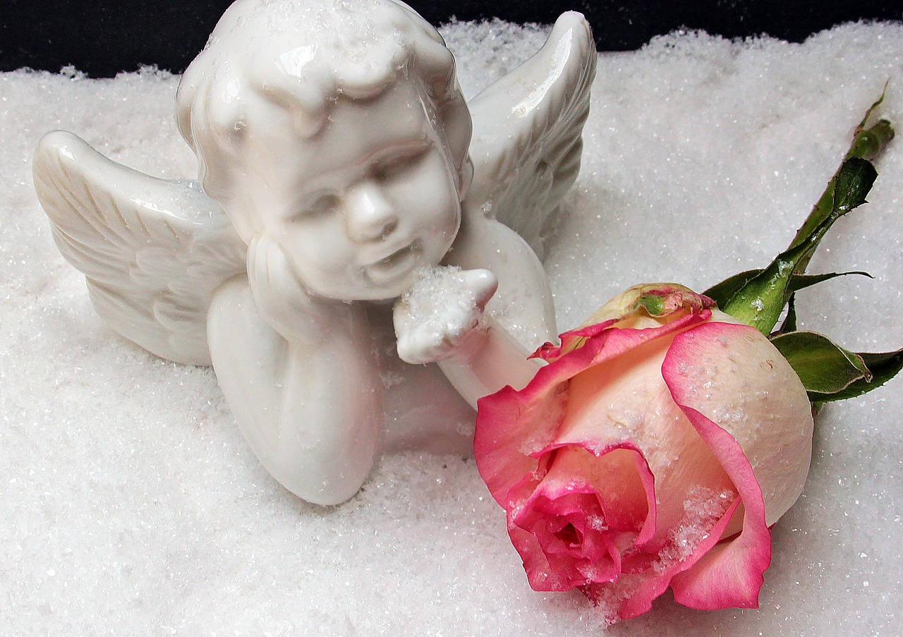 Image - angel angel figure rose snow