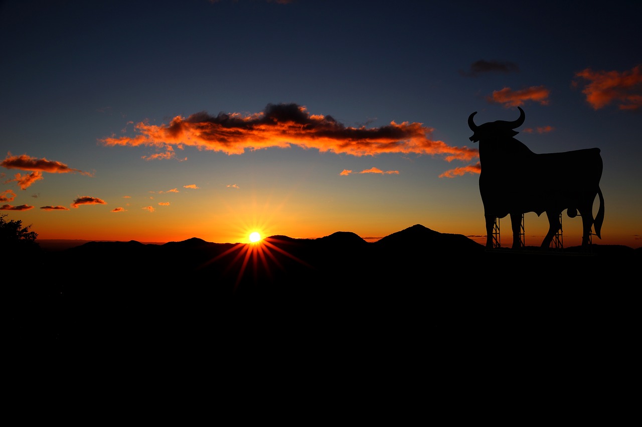 Image - bull spain sunset osborne holiday