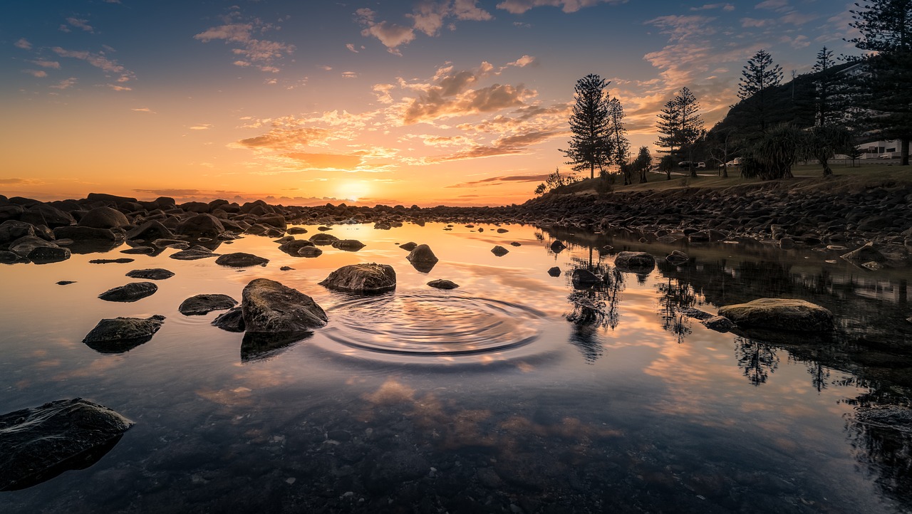 Image - landscape reflection water forest