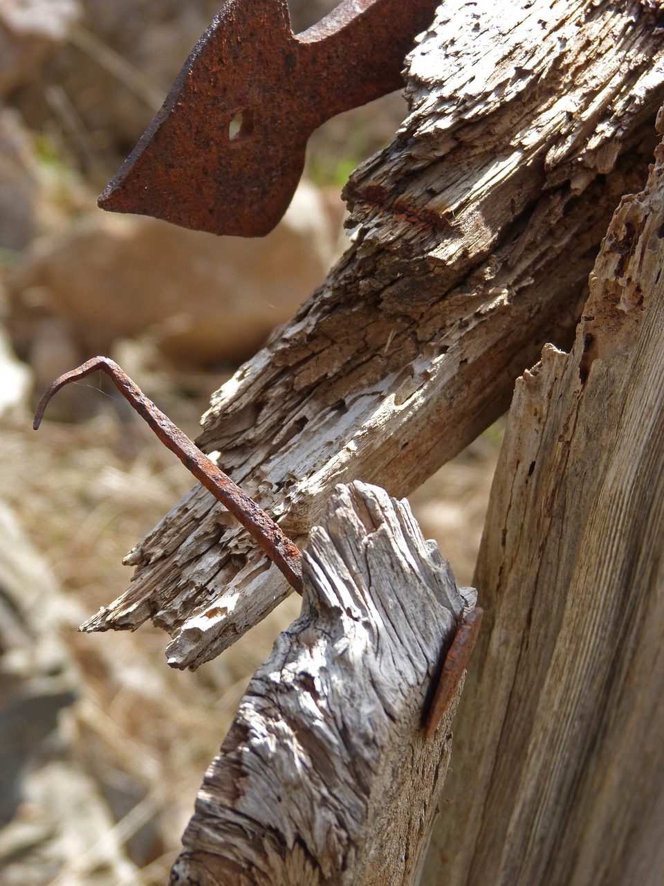 Image - door broken old ruin hinge nail