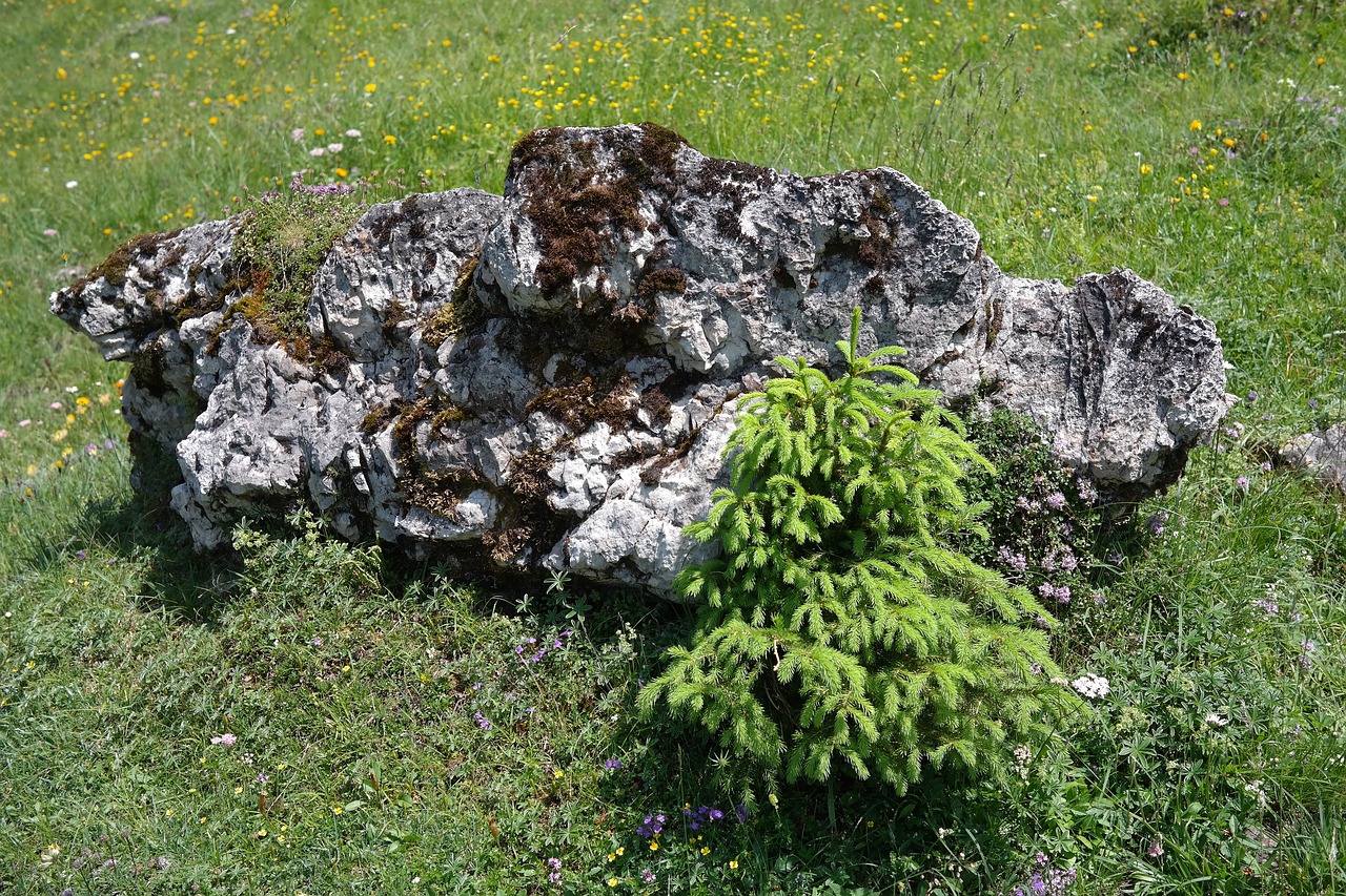 Image - stone limestone rock alpine