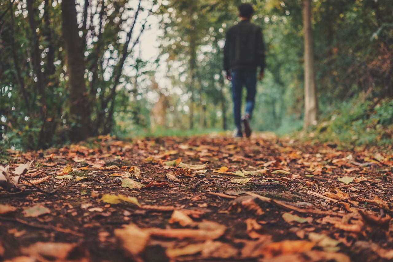Image - autumn fall ground leaves man