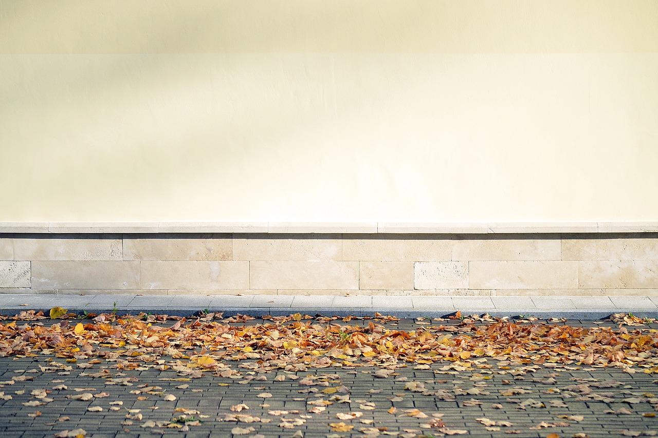 Image - blank wall leaves autumn fall