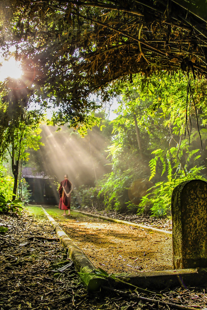 Image - theravada buddhism walking meditation