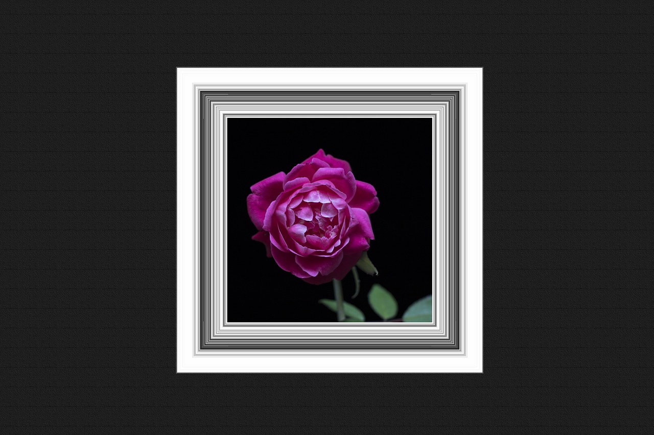 Image - wall frame painting rose retro