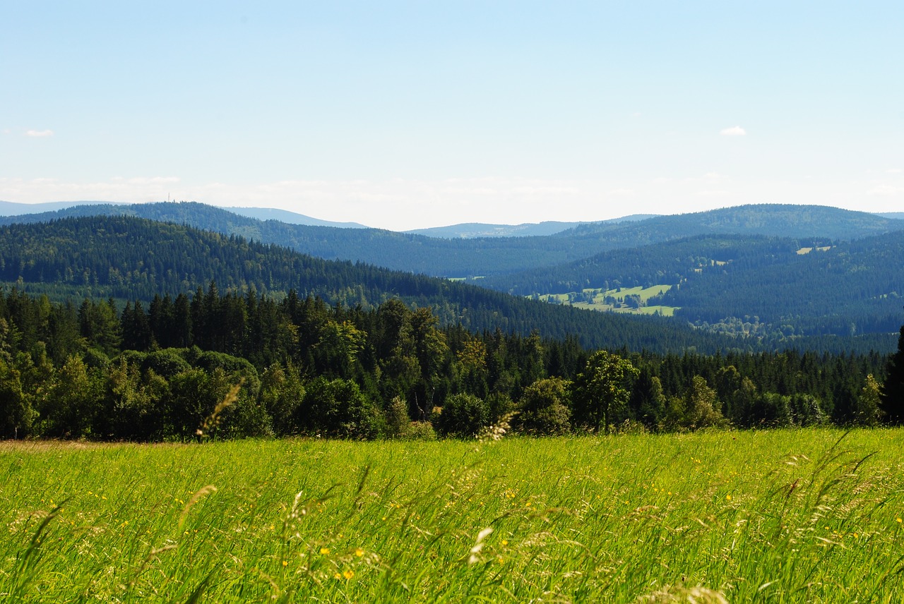 Image - panorama view green šumava summer