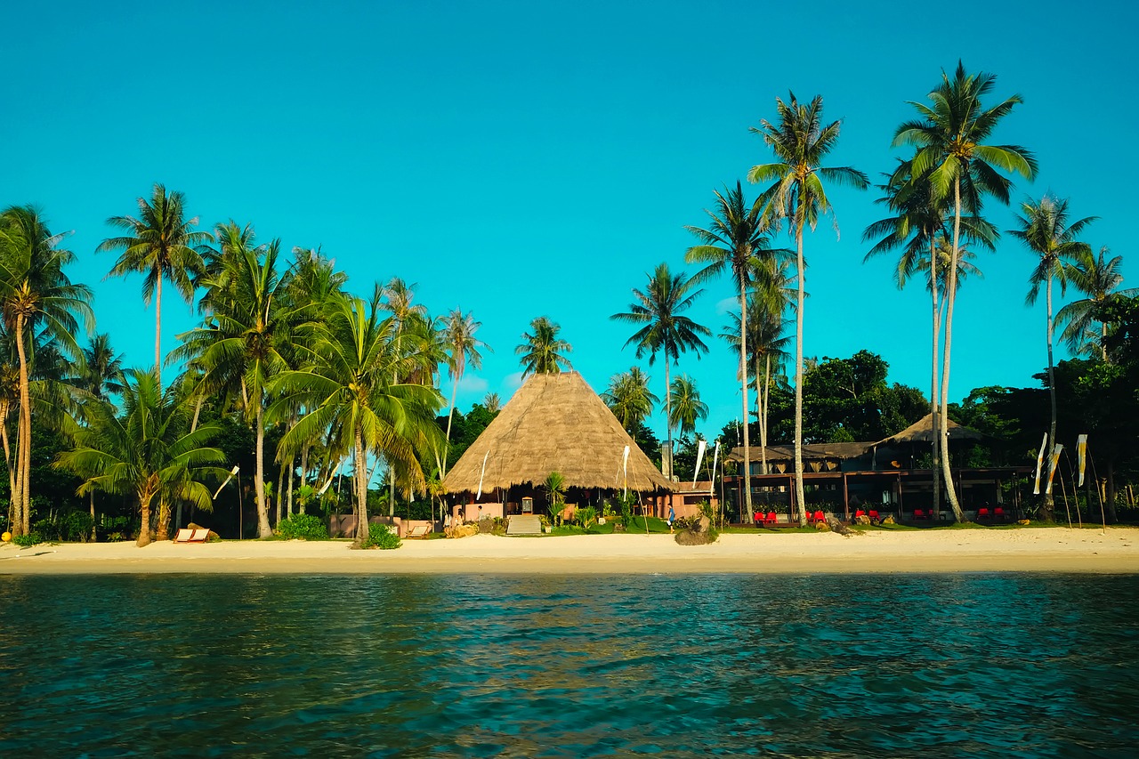 Image - thailand palms palm trees tropics