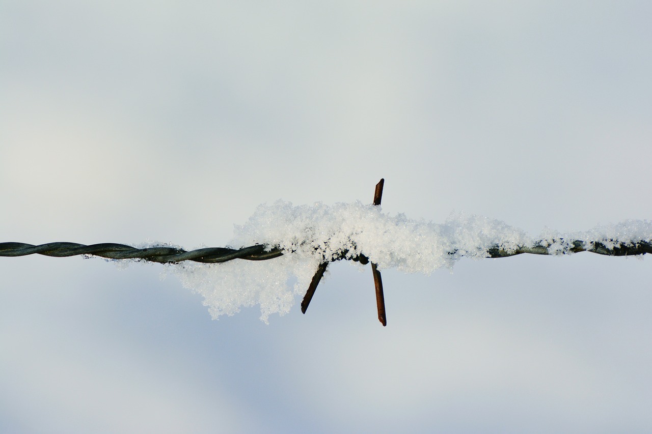 Image - snow barbed wire snowy winter
