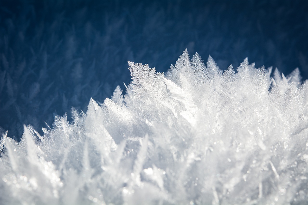 Image - ice eiskristalle snow iced