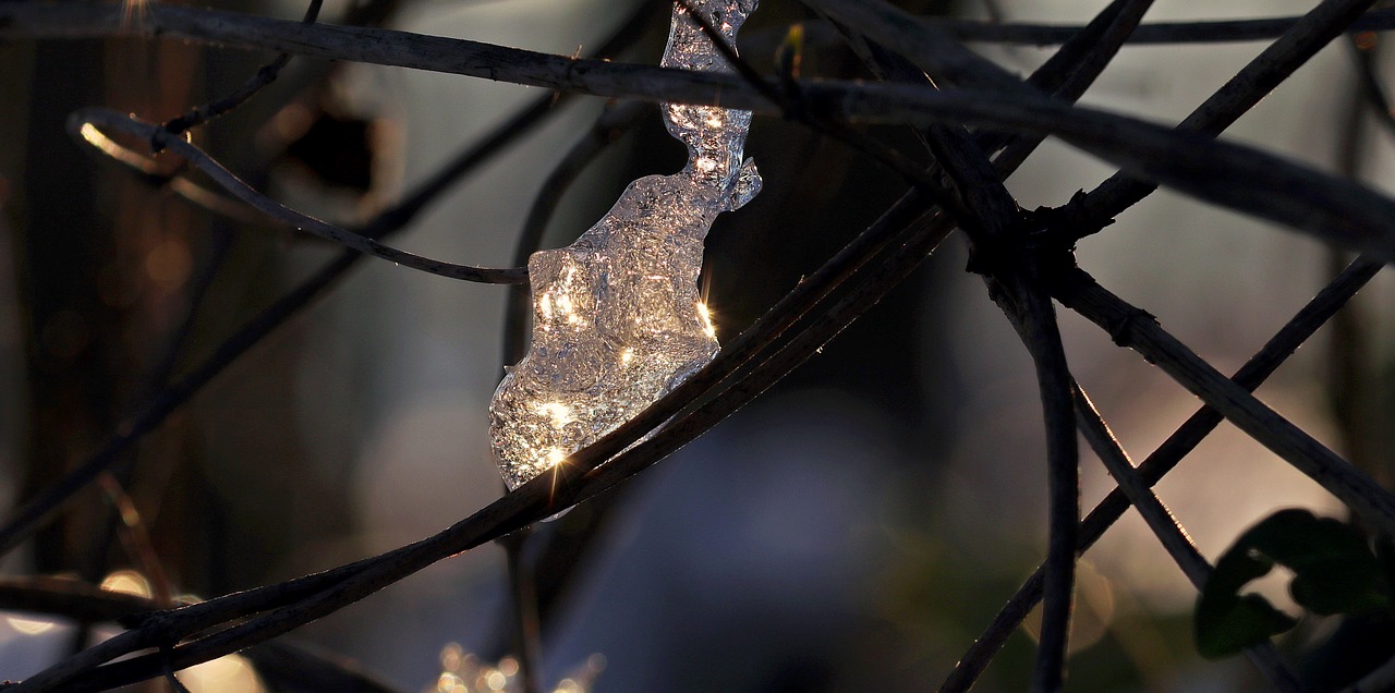 Image - snow ice forest light mood