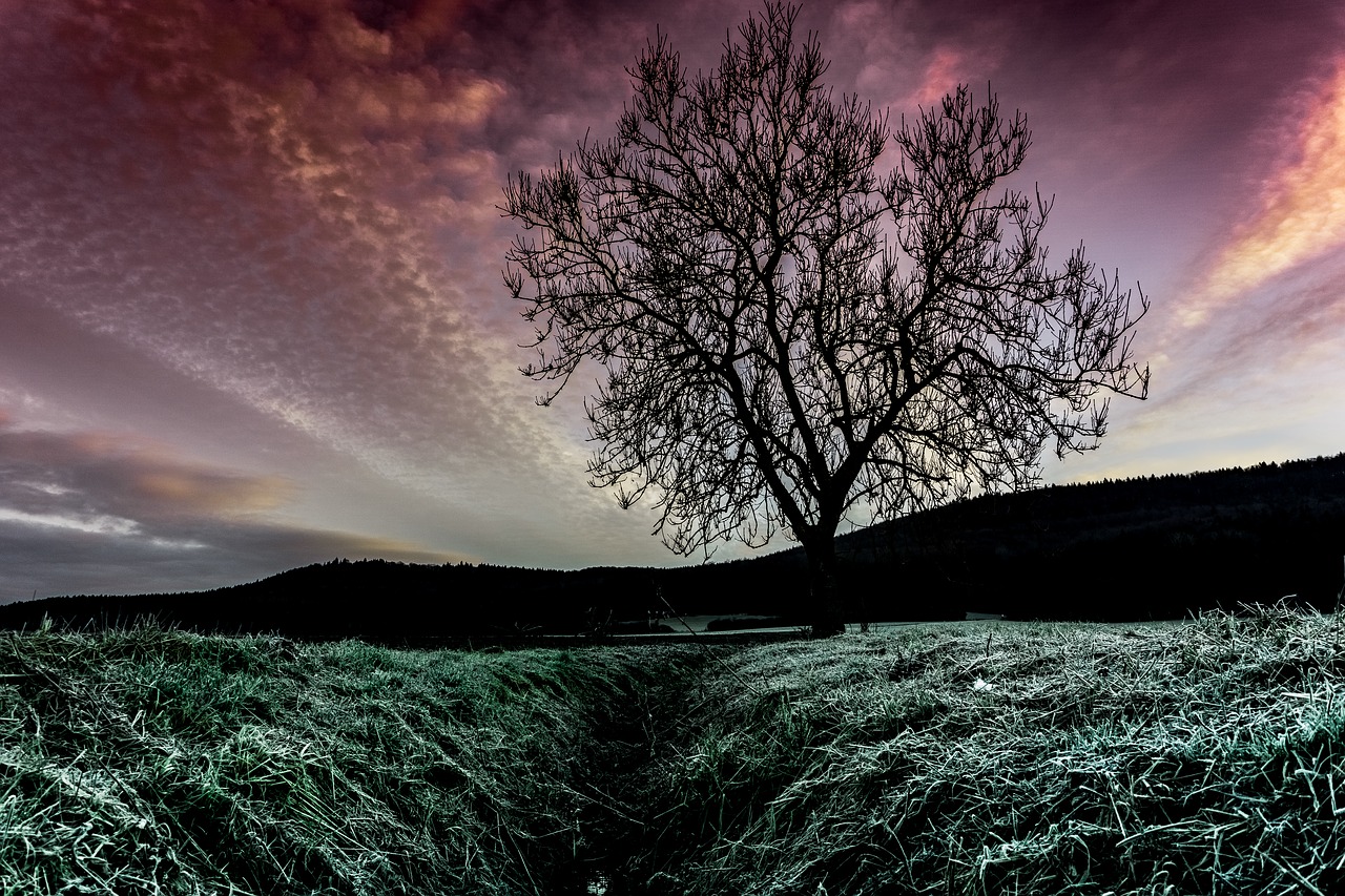 Image - sky landscape nature clouds