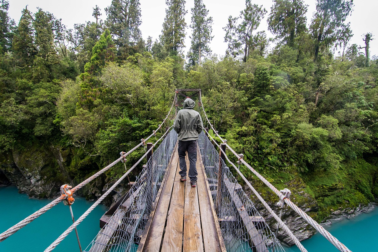Image - bridge trekking new zealand