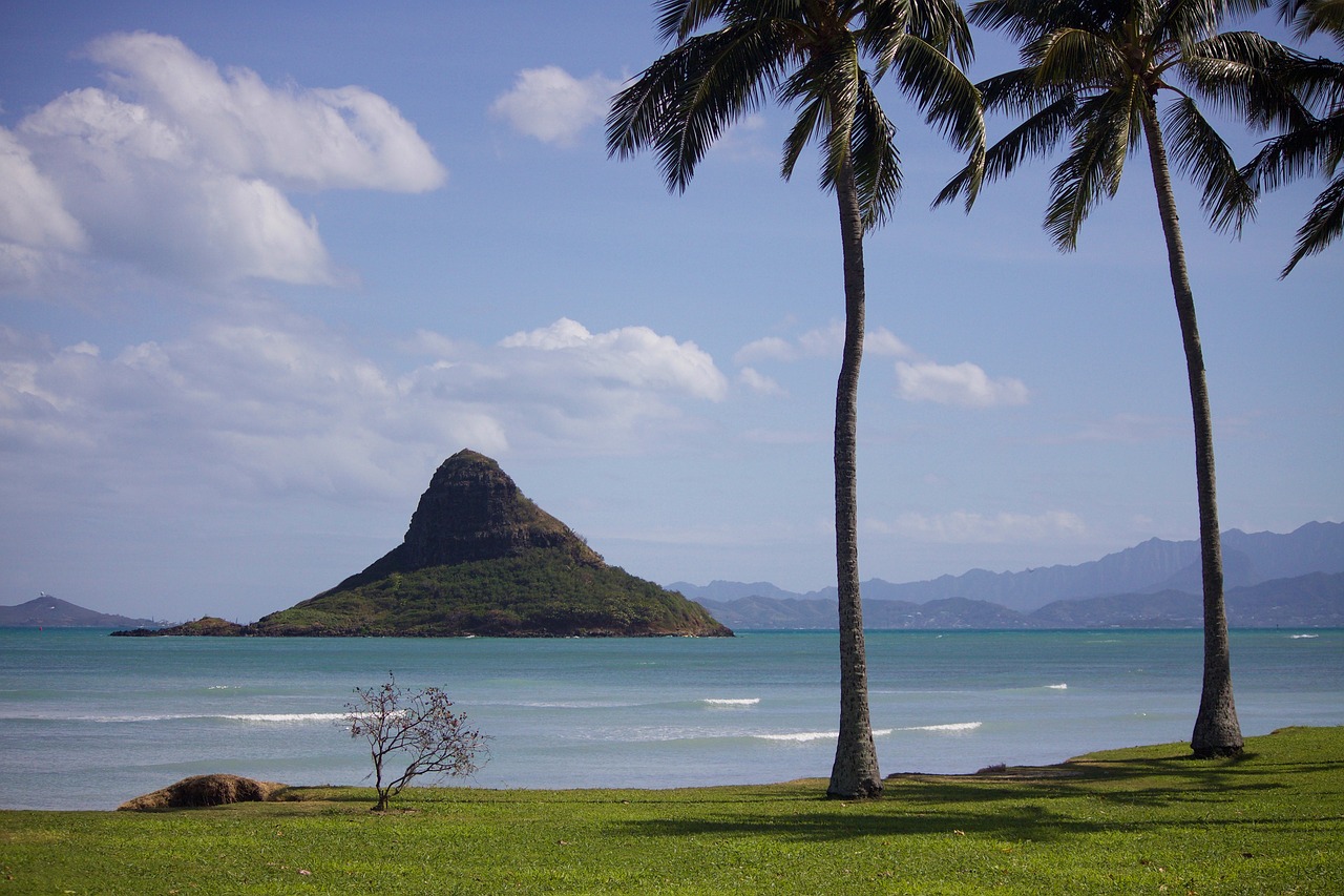 Image - hawaii oahu beach ocean sea