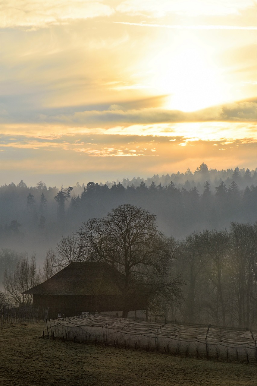 Image - landscape morgenrot autumn sunrise
