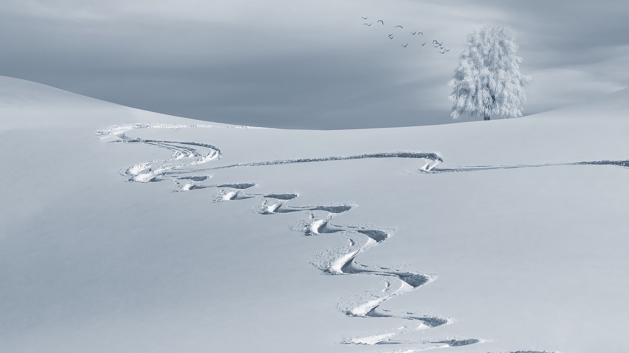 Image - wintry mountain snow snow landscape