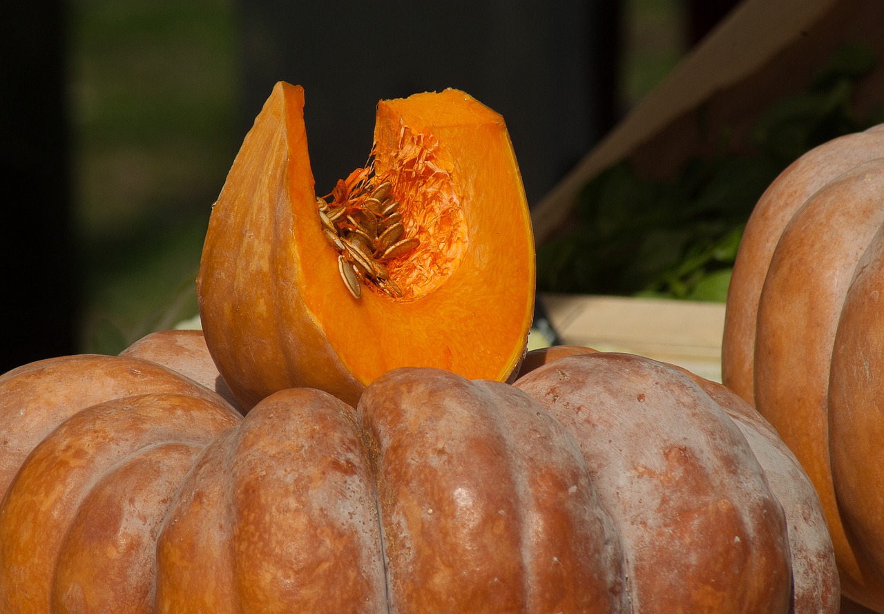 Image - vegetables pumpkin squash seed
