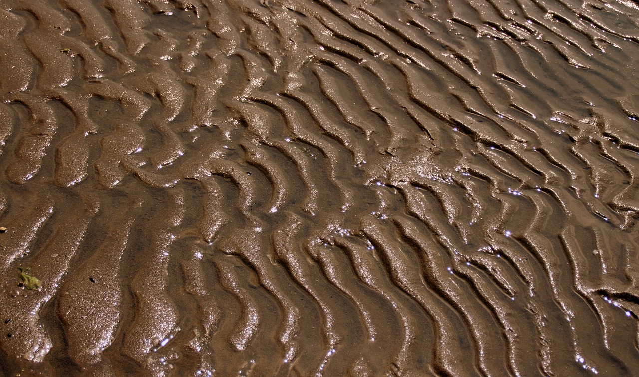 Image - sand texture beach wet