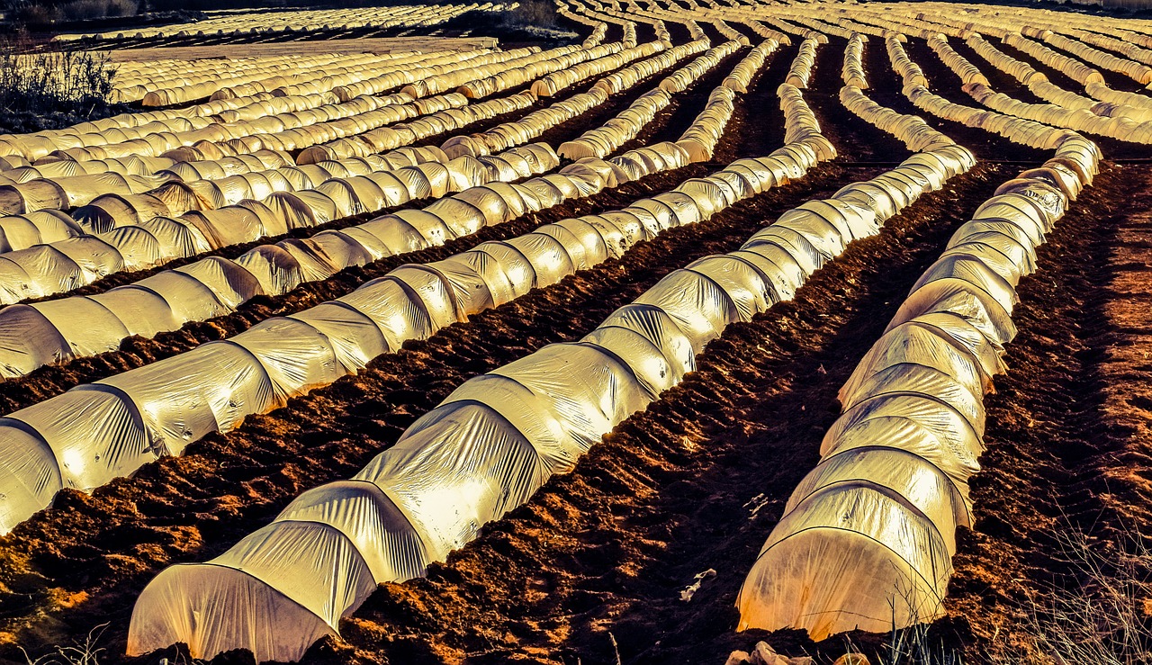 Image - farm agriculture field rows nylon