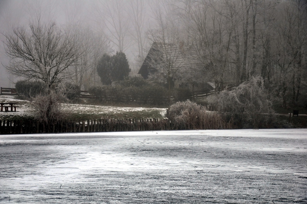 Image - frosty countryside ice winter fog