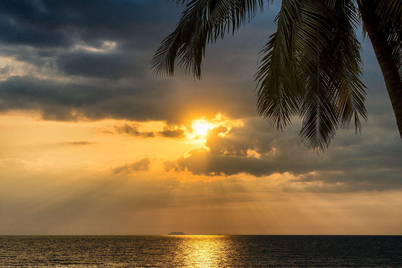 Image - sunset tropical palm tree sea