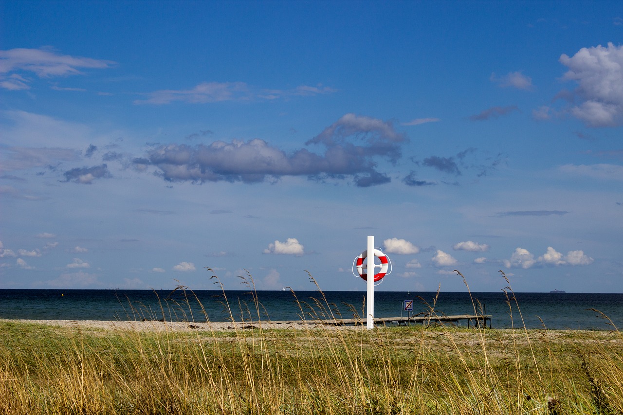 Image - beach coast sea sky lifebelt