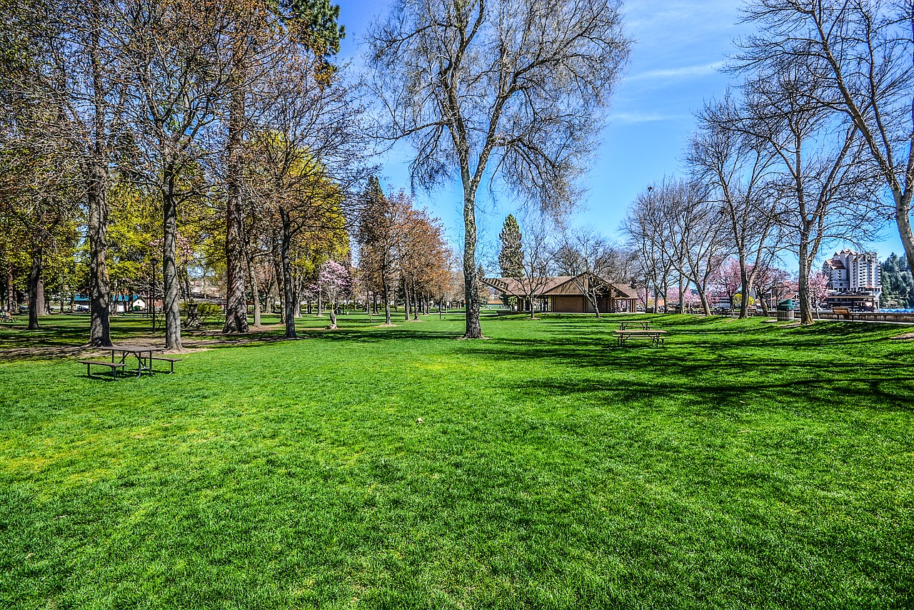 Image - park grass spring trees resort