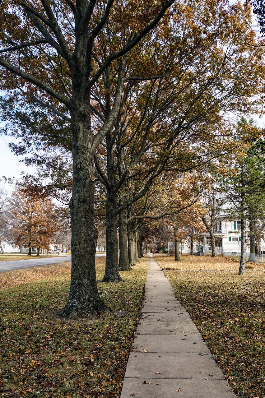 Image - sidewalk fall autumn small town