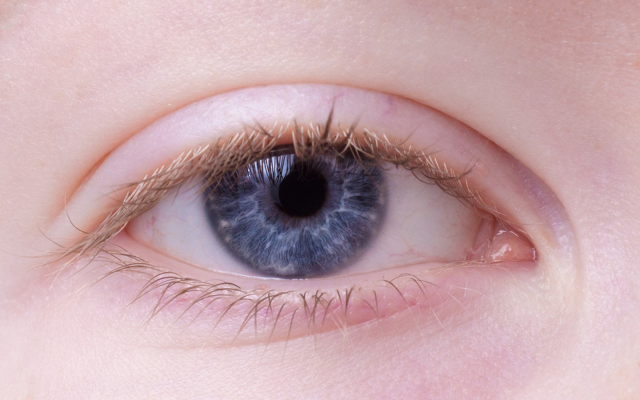 Image - eye female blue blue eye portrait