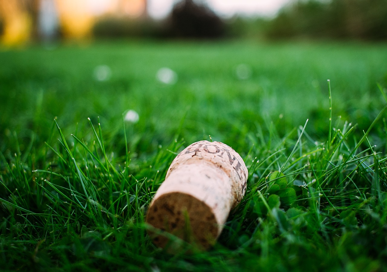 Image - blur close up cork environment