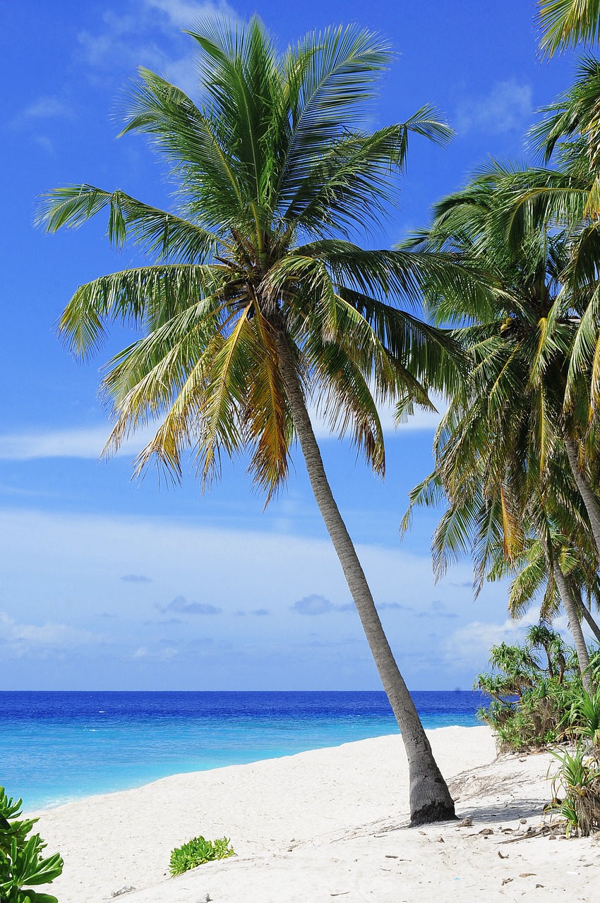 Image - atoll beach couple destination