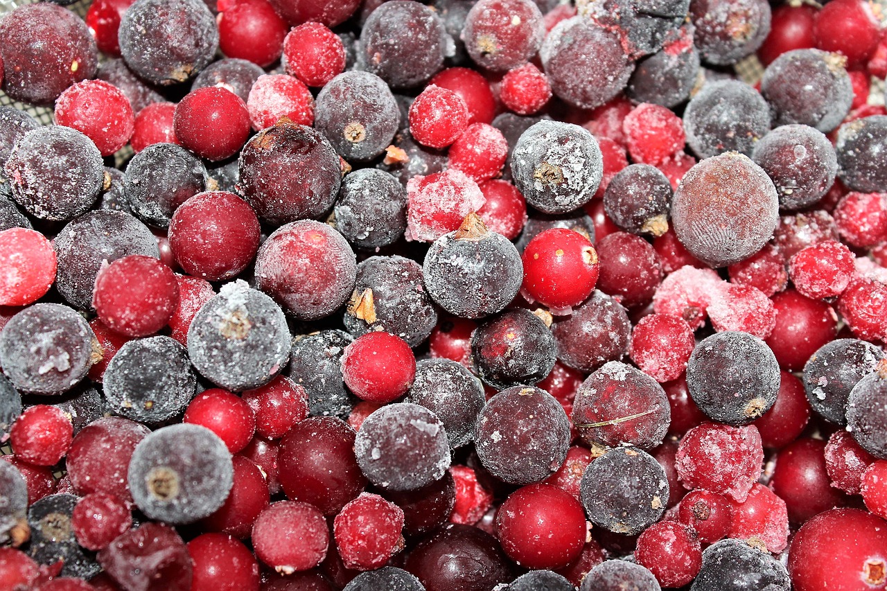 Image - berry cranberries currant red