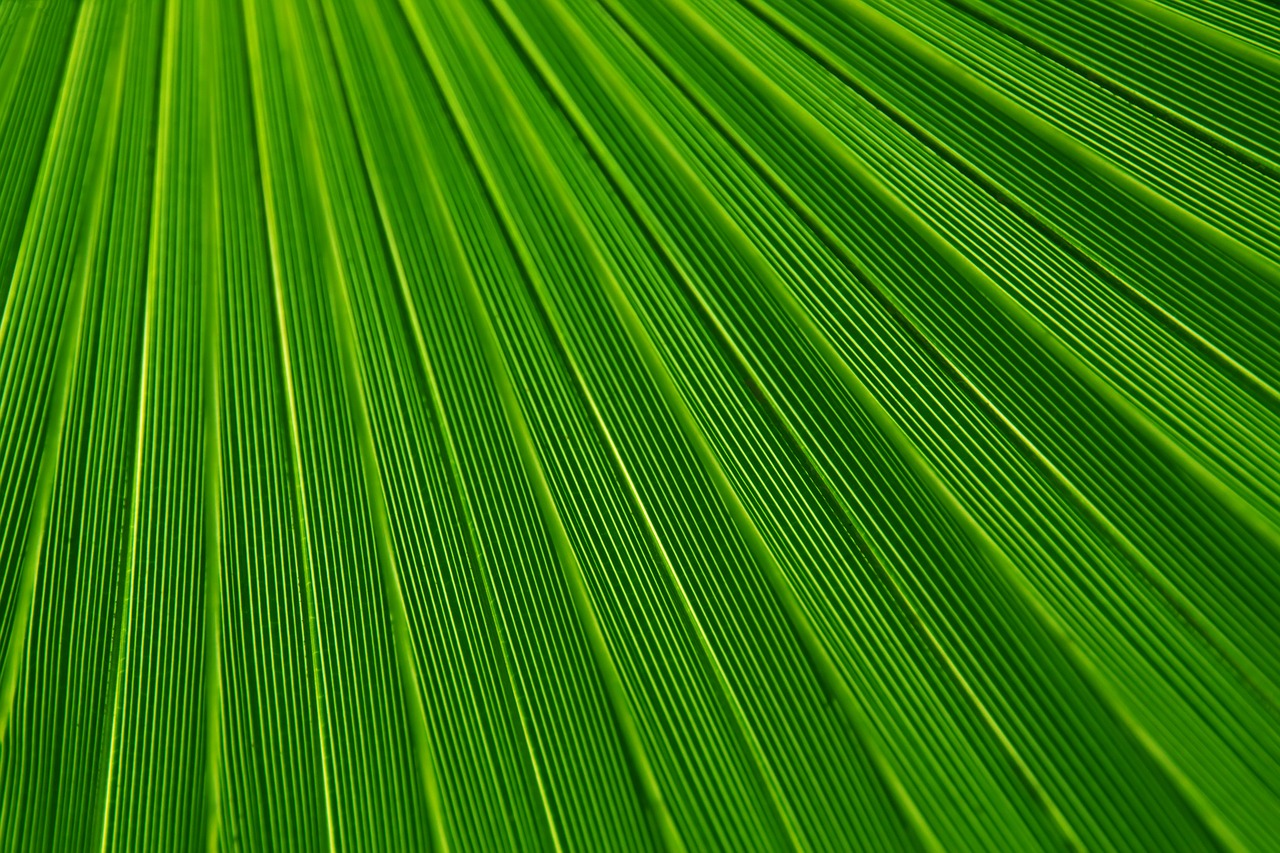 Image - abstract background backgrounds